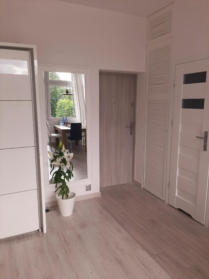 Apartment Hollywood Piotrkowska Klimat,jakosc,styl *